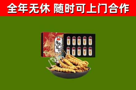 将乐县回收冬虫夏草价格